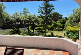 Foto 15