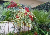 Village house for sale on España, Manilva, ref: TR334802 photo