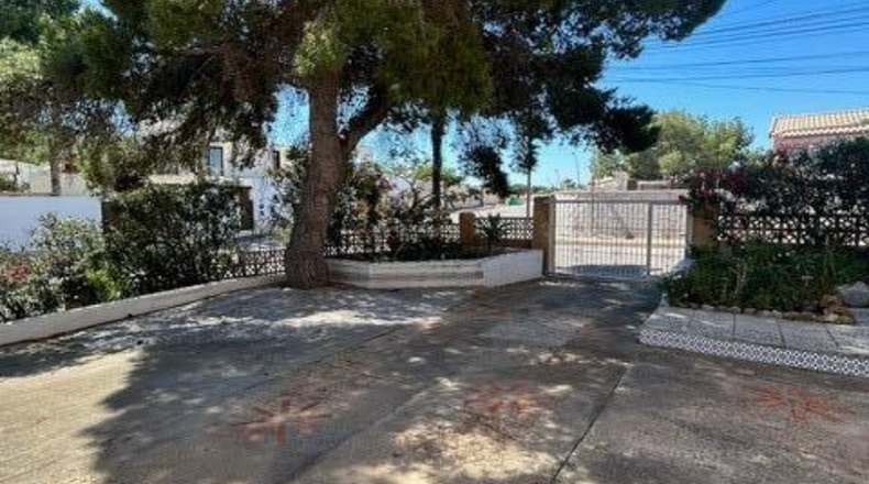 Alicante - Torrevieja - 500m2