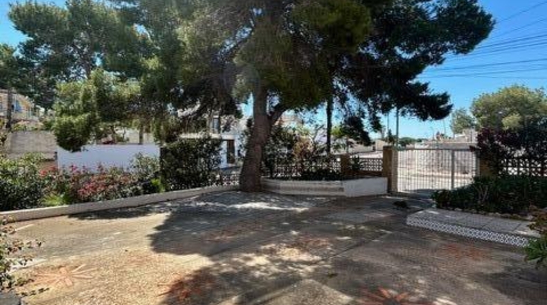 Alicante - Torrevieja - 500m2