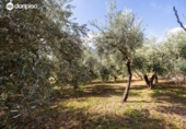 Chalet independiente con terreno en venta en la España, Güéjar Sierra, ref: TR413373 foto