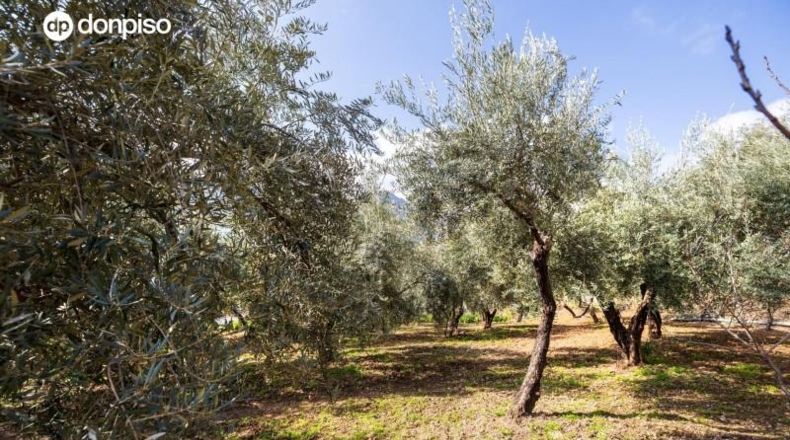 Granada - Güéjar Sierra - 200m2