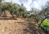 Chalet independiente con terreno en venta en la España, Güéjar Sierra, ref: TR413373 foto