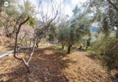 Chalet independiente con terreno en venta en la España, Güéjar Sierra, ref: TR413373 foto