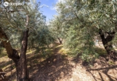 Chalet independiente con terreno en venta en la España, Güéjar Sierra, ref: TR413373 foto
