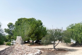 Foto 11