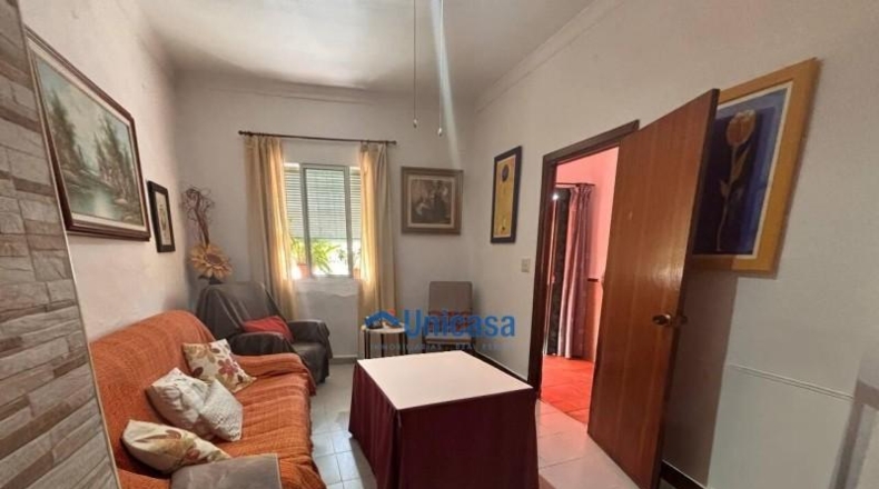 Málaga - Málaga - 225m2
