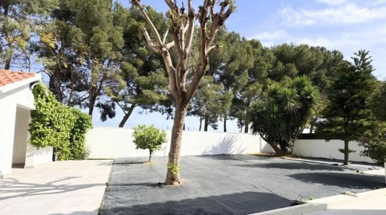 València - Ribarroja del Turia - 400m2