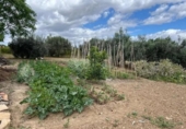 Finca rústica en venta en la España, Málaga, ref: TR413388 foto