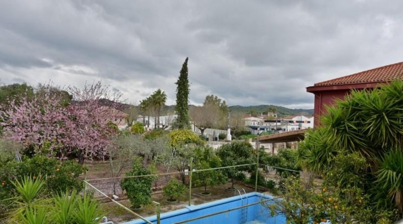 Sevilla - Las Navas de la Concepción - 3205m2