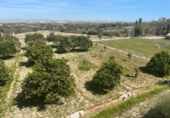 Chalet independiente con terreno en venta en la España, Rojales, ref: TR413393 foto