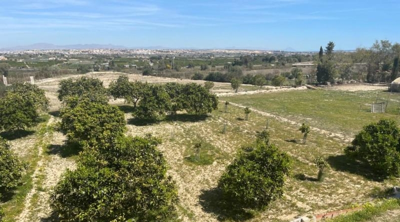 Alicante - Rojales - 10000m2