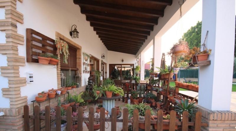 Huelva - Lepe - 950m2