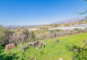 Chalet independiente con terreno en venta en la España, Motril, ref: TR409282 foto