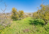 Chalet independiente con terreno en venta en la España, Motril, ref: TR409282 foto