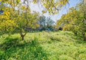 Chalet independiente con terreno en venta en la España, Motril, ref: TR409282 foto