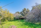 Chalet independiente con terreno en venta en la España, Motril, ref: TR409282 foto