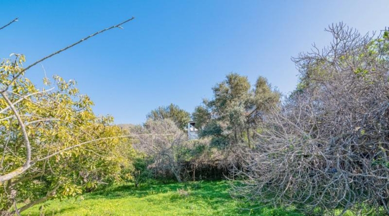 Granada - Motril - 6573m2