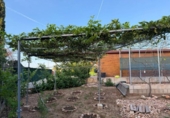 Chalet independiente con terreno en venta en la España, Alberic, ref: TR413406 foto
