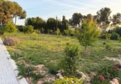 Chalet independiente con terreno en venta en la España, Alberic, ref: TR413406 foto