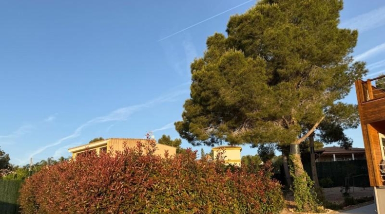 València - Alberic - 2676m2