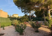 Chalet independiente con terreno en venta en la España, Alberic, ref: TR413406 foto