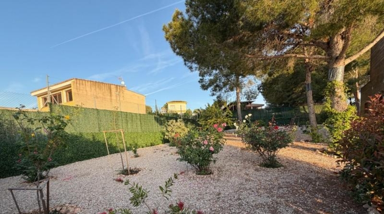 València - Alberic - 2676m2