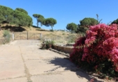Casa de campo con terreno en venta en la España, El Rompido, ref: TR413408 foto