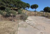 Casa de campo con terreno en venta en la España, El Rompido, ref: TR413408 foto