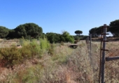 Casa de campo con terreno en venta en la España, El Rompido, ref: TR413408 foto