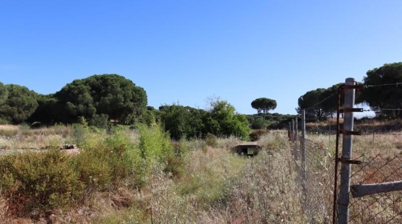 Huelva - El Rompido - 6250m2