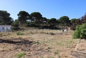 El Rompido 6250&nbsp;m²