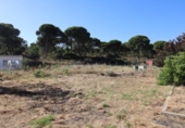 Casa de campo con terreno en venta en la España, El Rompido, ref: TR413408 foto