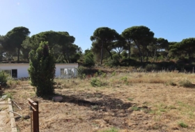 El Rompido 6250&nbsp;m²