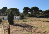 Casa de campo con terreno en venta en la España, El Rompido, ref: TR413408 foto