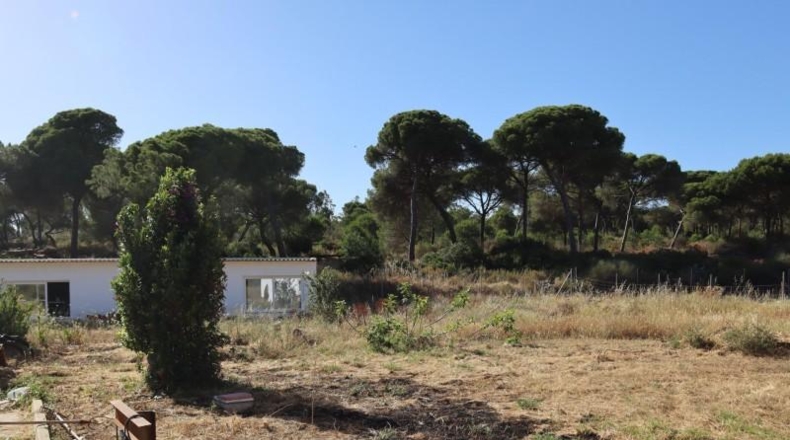 Huelva - El Rompido - 6250m2