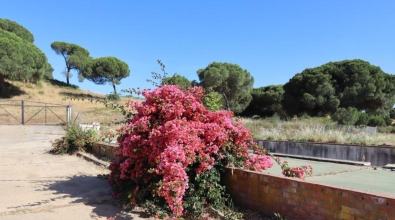 Huelva - El Rompido - 6250m2