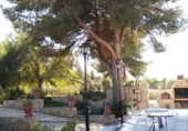 Casa de camp amb terreny en venda a la España, Lorca, ref.: TR141614 foto