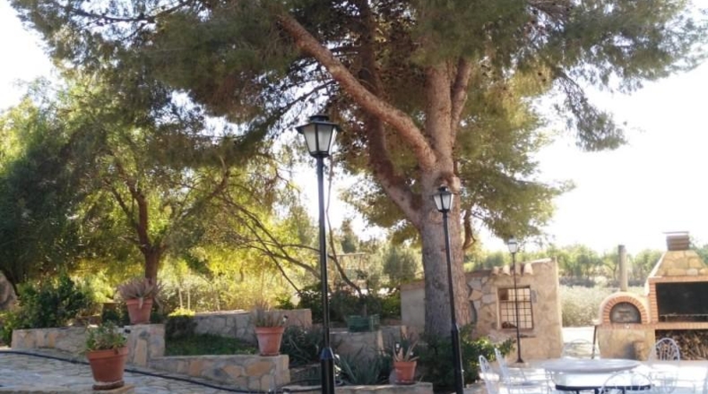 Murcia - Lorca - 8000m2