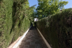 Albolote 345&nbsp;m²