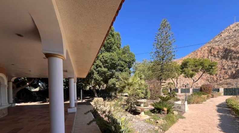 Alicante - Callosa de Segura - 4500m2