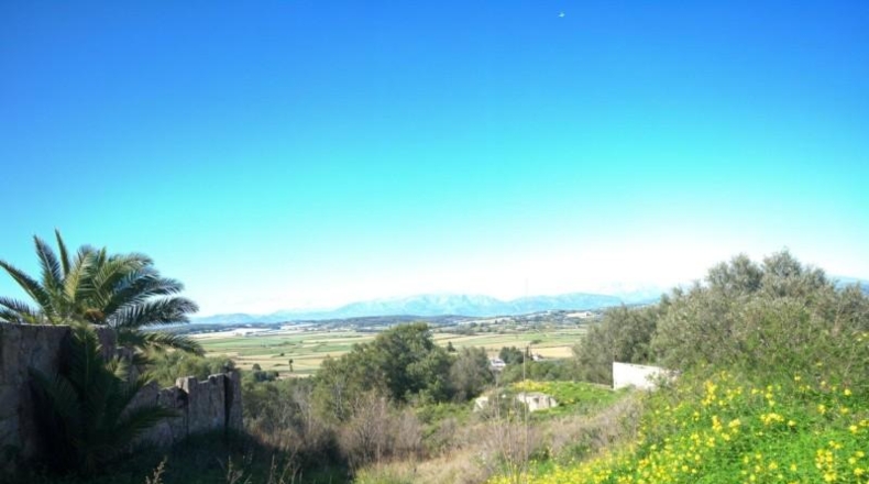 Islas Baleares - Son Bauló - 250m2
