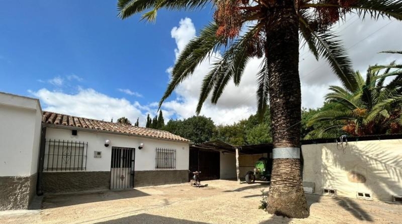 Cádiz - Херес-де-ла-Фронтера - 57000m2