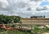 Xalet independent amb terreny en venda a la España, Jerez de la Frontera, ref.: TR368263 foto
