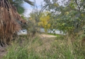 Xalet independent amb terreny en venda a la España, Còrdova, ref.: TR389934 foto