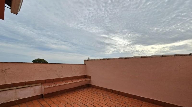 Cordova - Córdoba - 2220m2