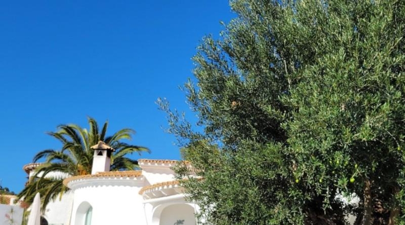 Alicante - Calpe - 1167m2