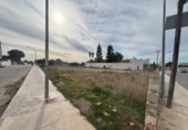 Land suitable for development for sale on España, La Pobla de Vallbona, ref: TR377121 photo