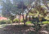Terreno no urbanizable en venta en la España, Orihuela, ref: TR382256 foto