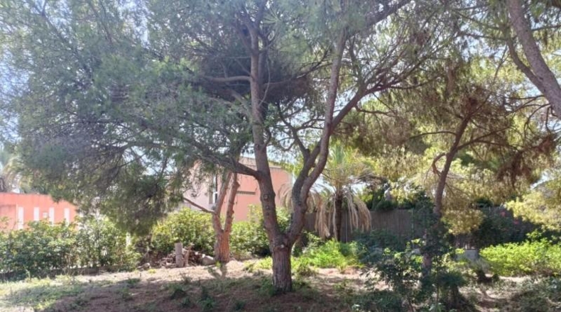 Аликанте - Cabo Roig - 1084m2